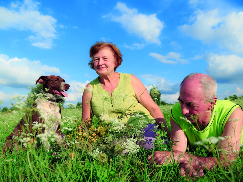 Four Seasons Rehab and Nursing